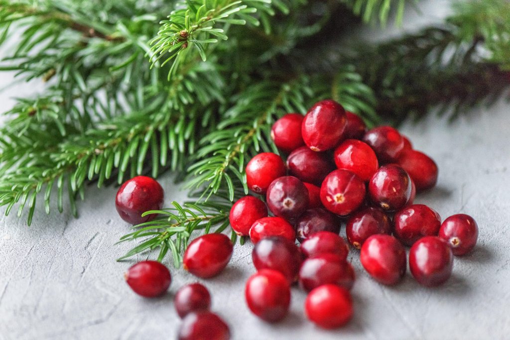 Weihnachtsduft selber machen: Tanne und Cranberries