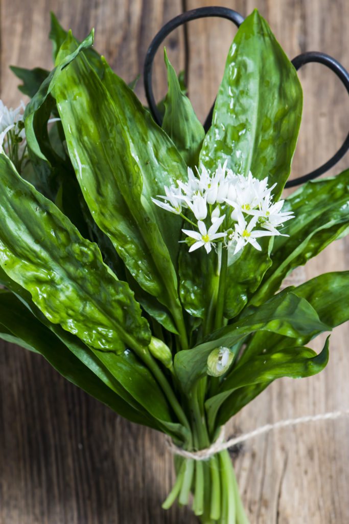 Endlich Bärlauch Saison: Unser Lieblingsrezept  HelloFresh Blog